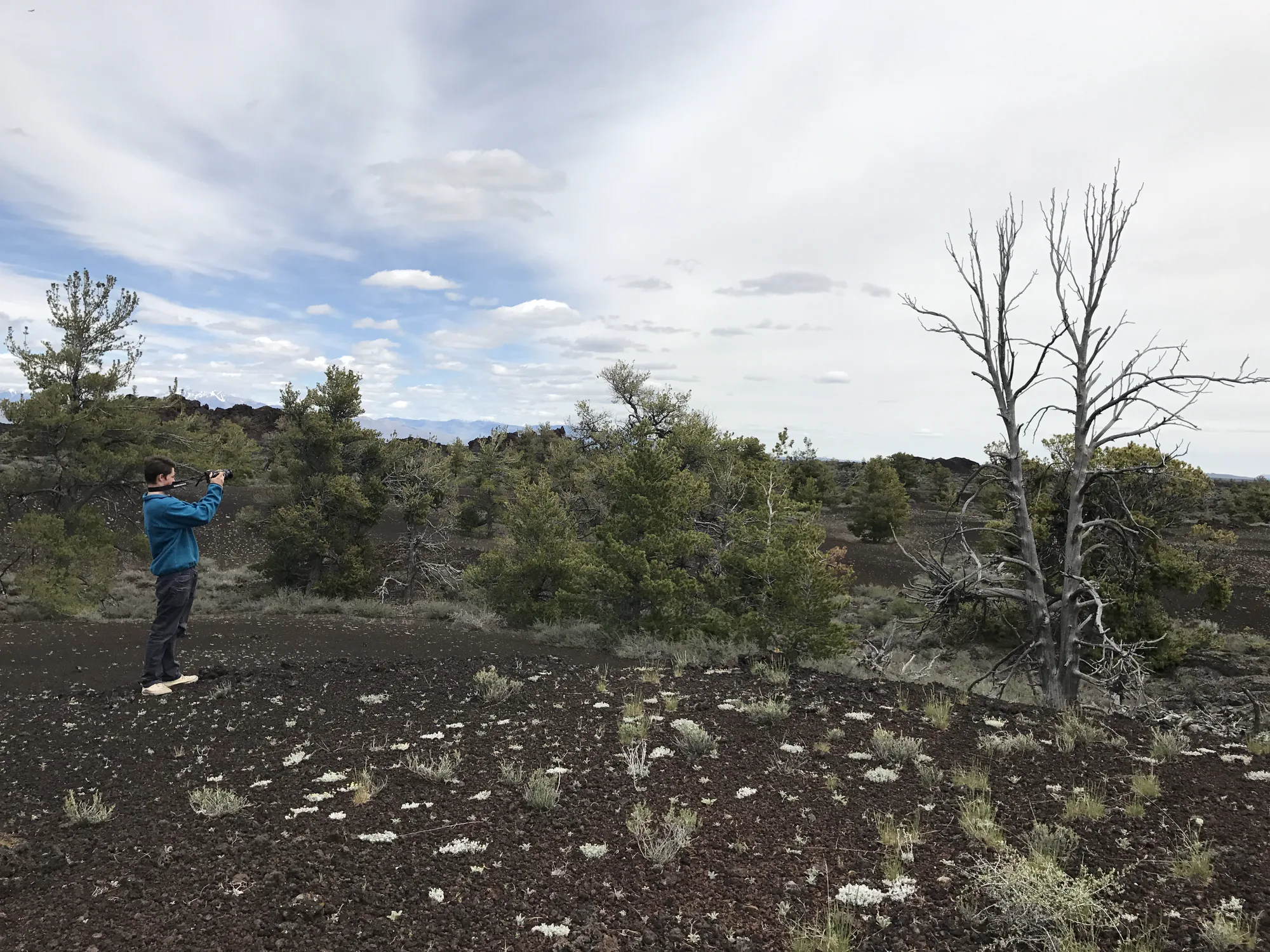 Craters of the Moon environment.