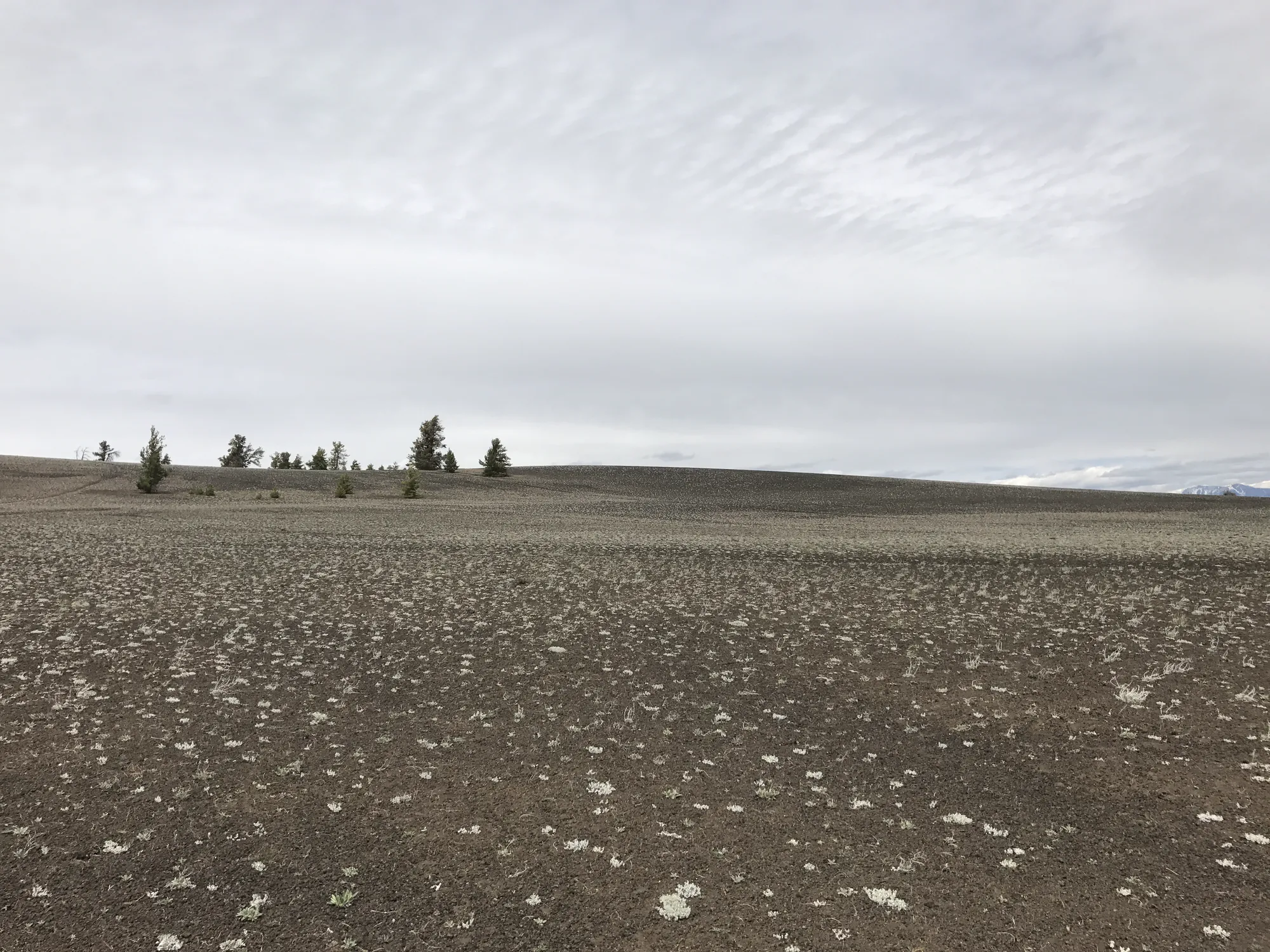 Craters of the Moon environment.