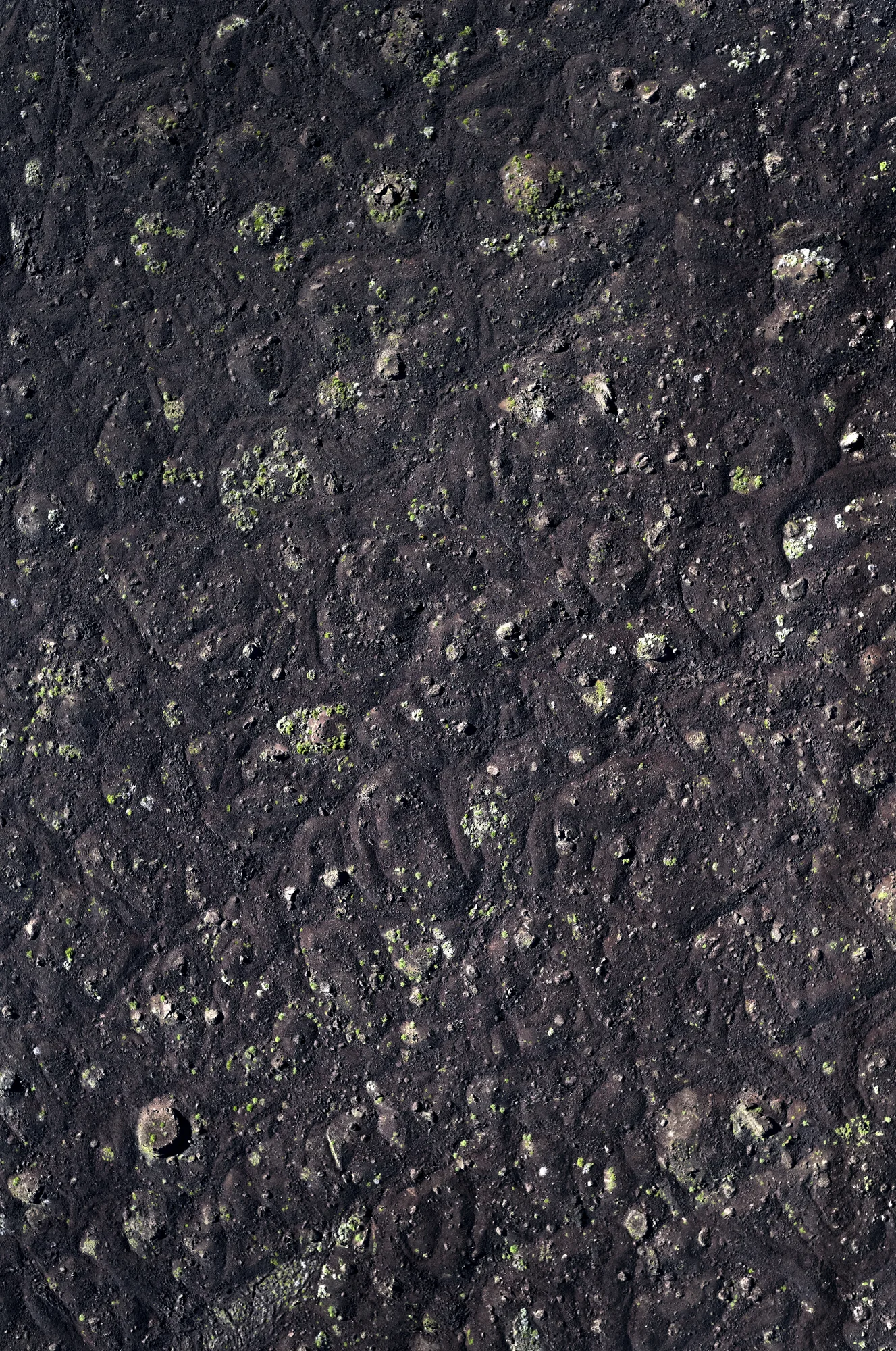 Craters of the Moon surface detail.