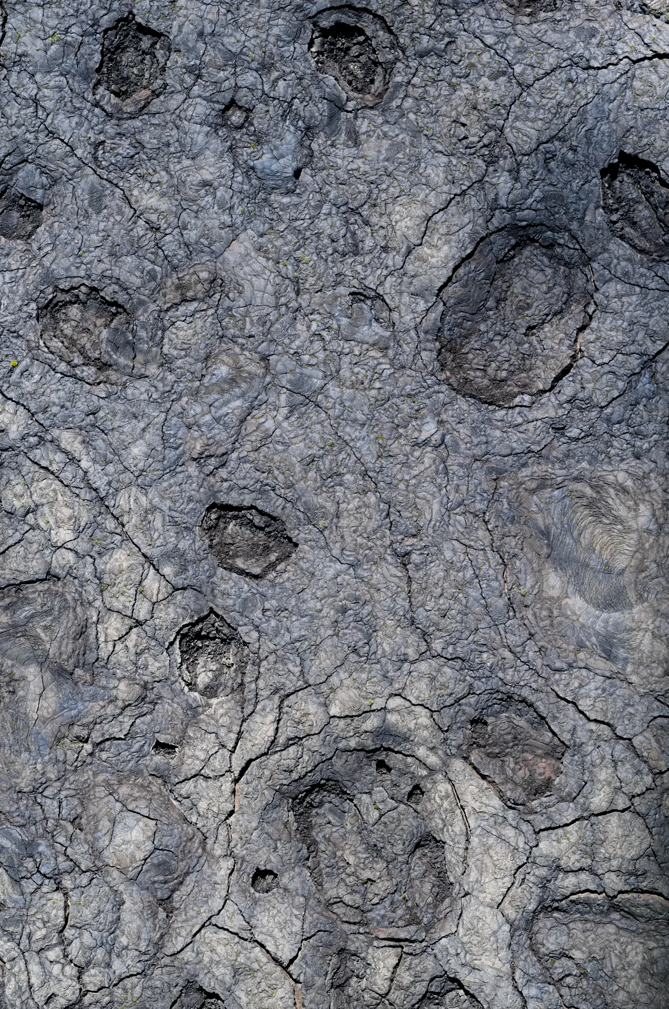 Craters of the Moon surface detail.