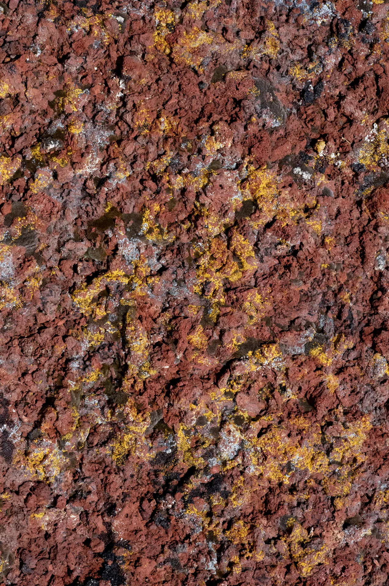Craters of the Moon surface detail.
