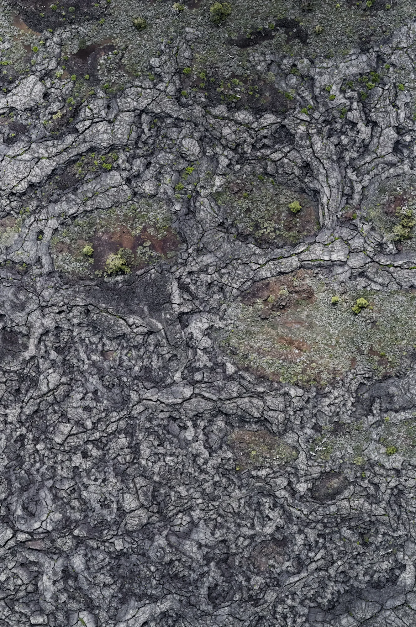 Craters of the Moon surface detail.