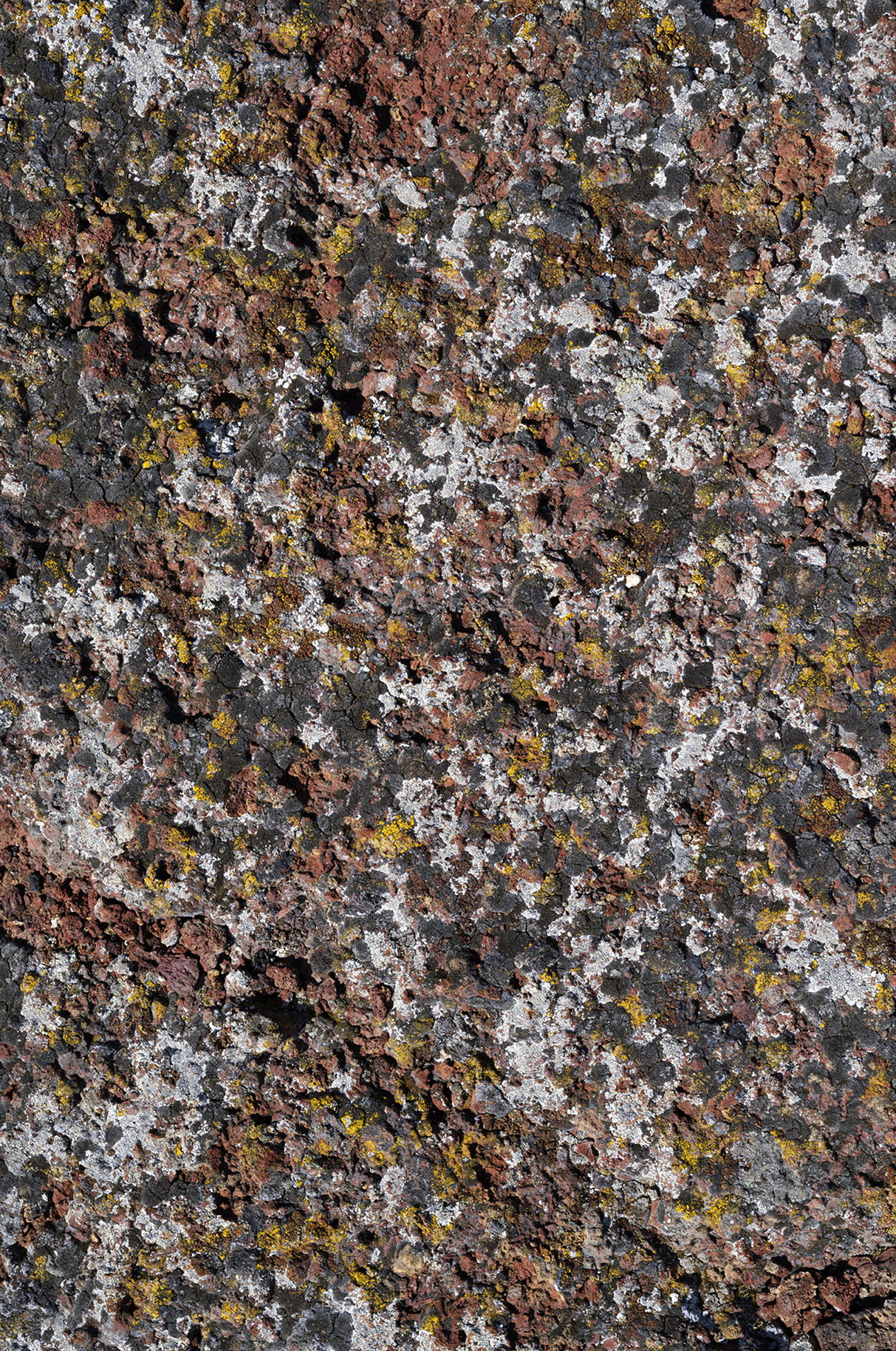 Craters of the Moon surface detail.
