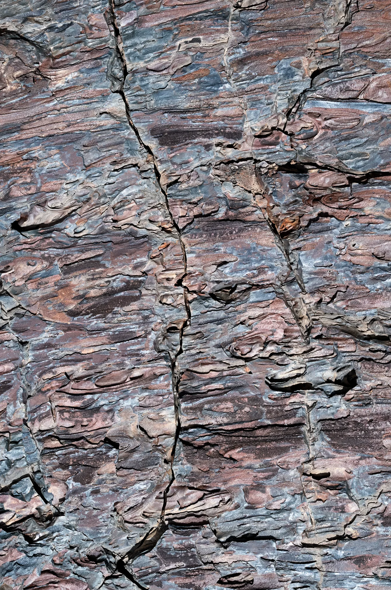 Craters of the Moon surface detail.