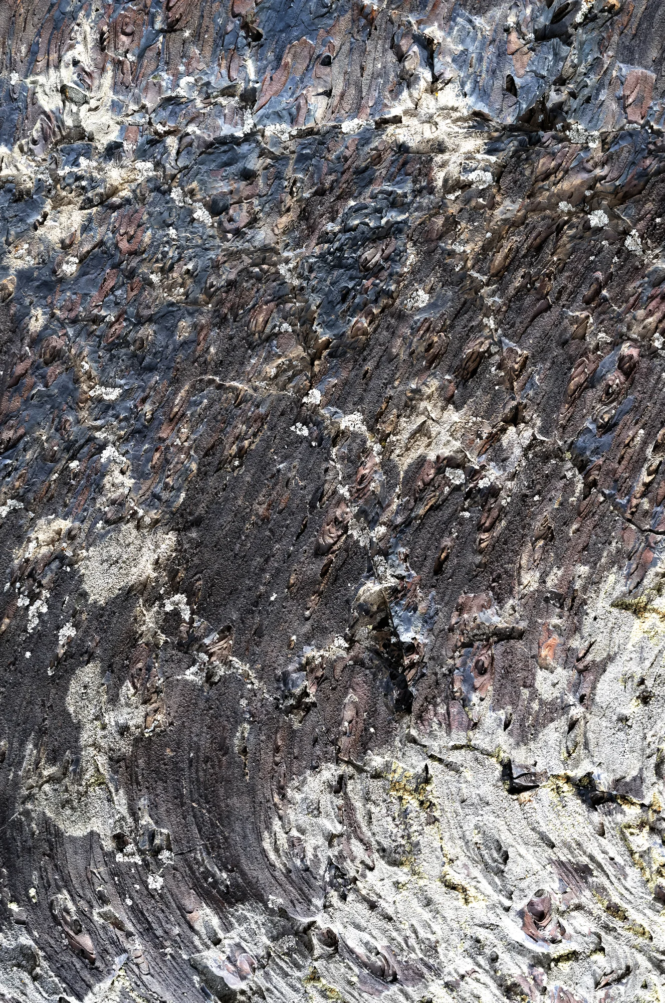 Craters of the Moon surface detail.