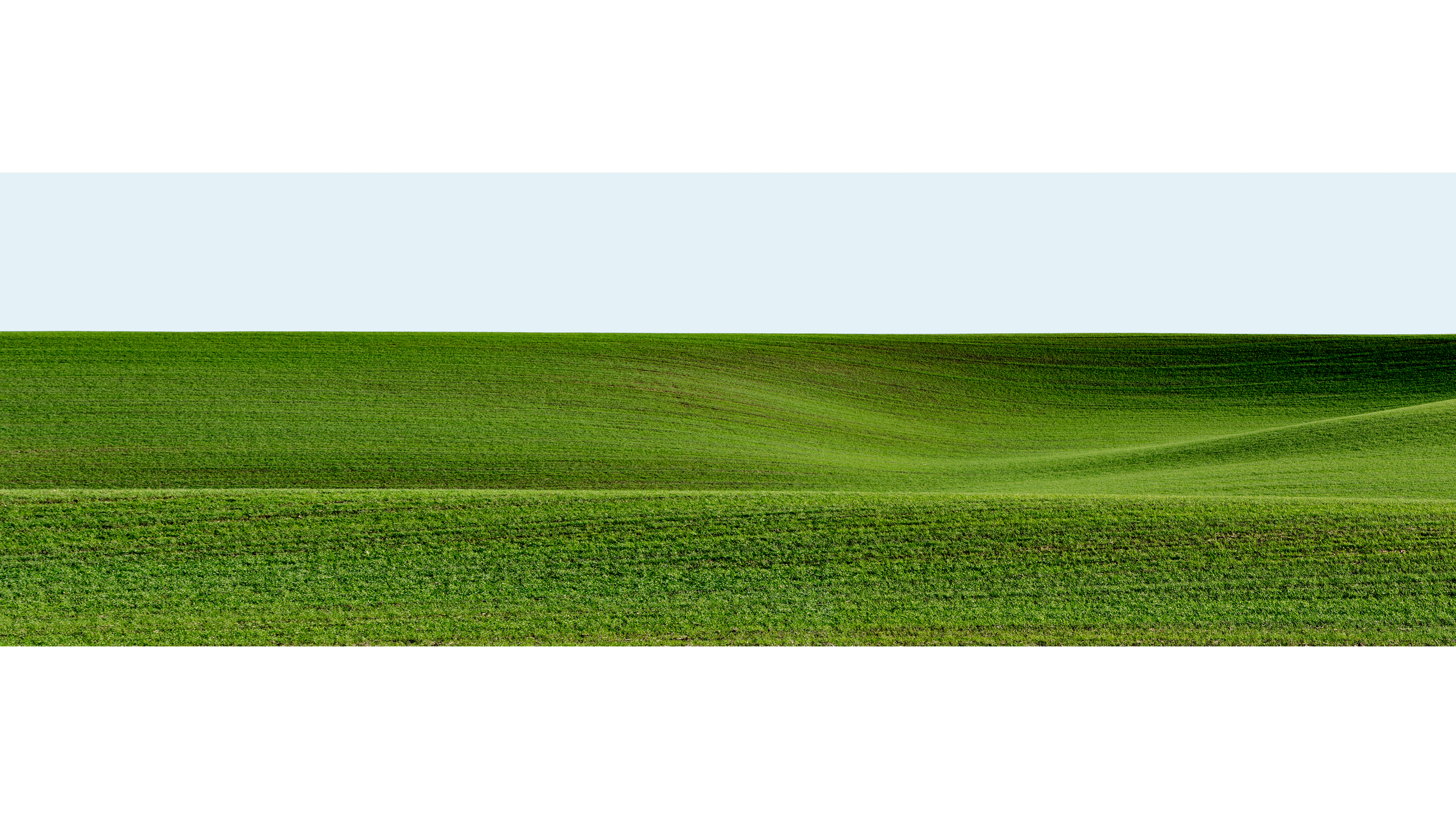 Palouse, 2013: wide green cultivated field.