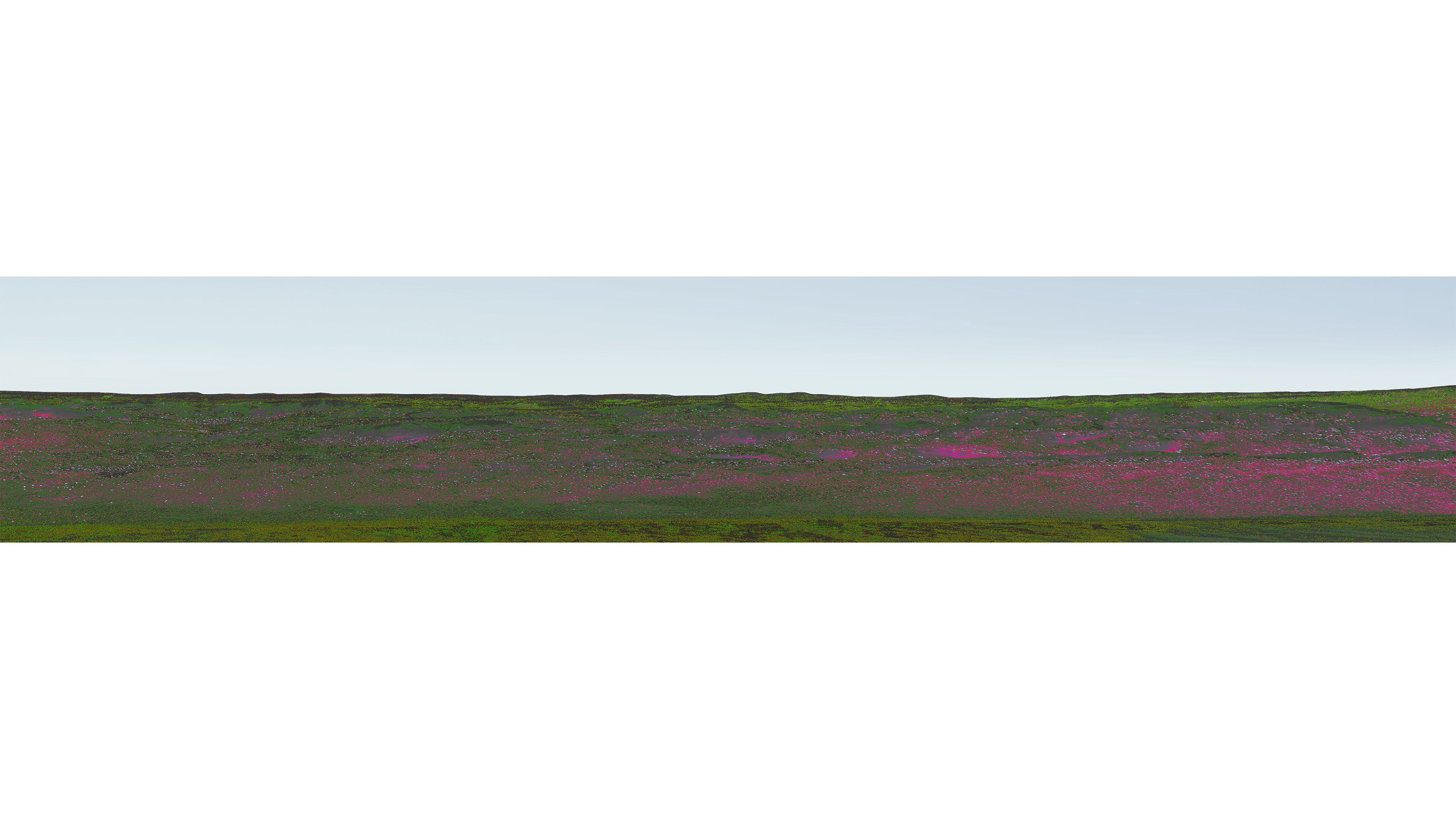 Omani Landscapes, 2017: low desert horizon.