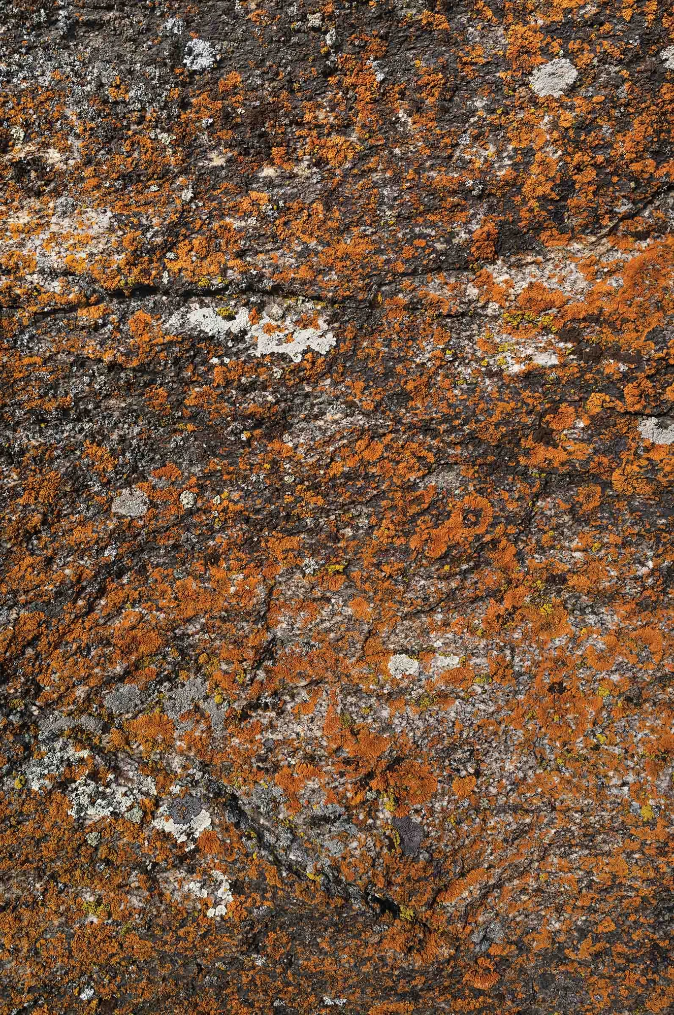 City of Rocks National Reserve aerial survey.