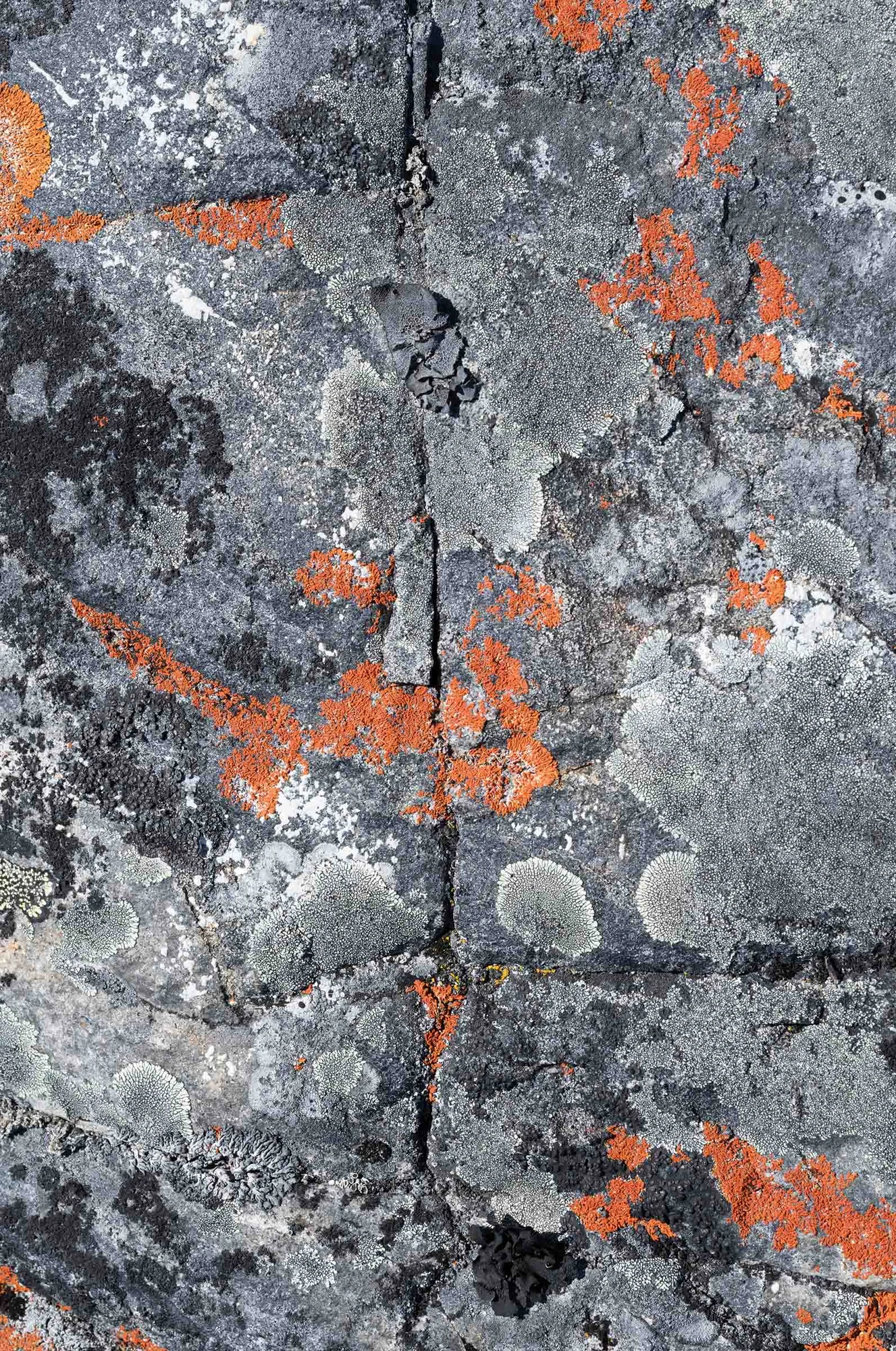 City of Rocks National Reserve aerial survey.