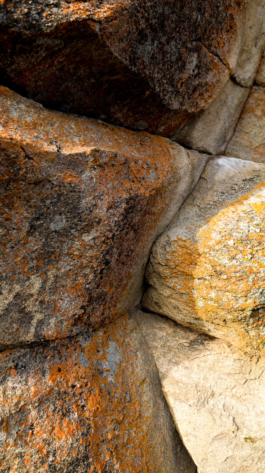 City of Rocks National Reserve environment.