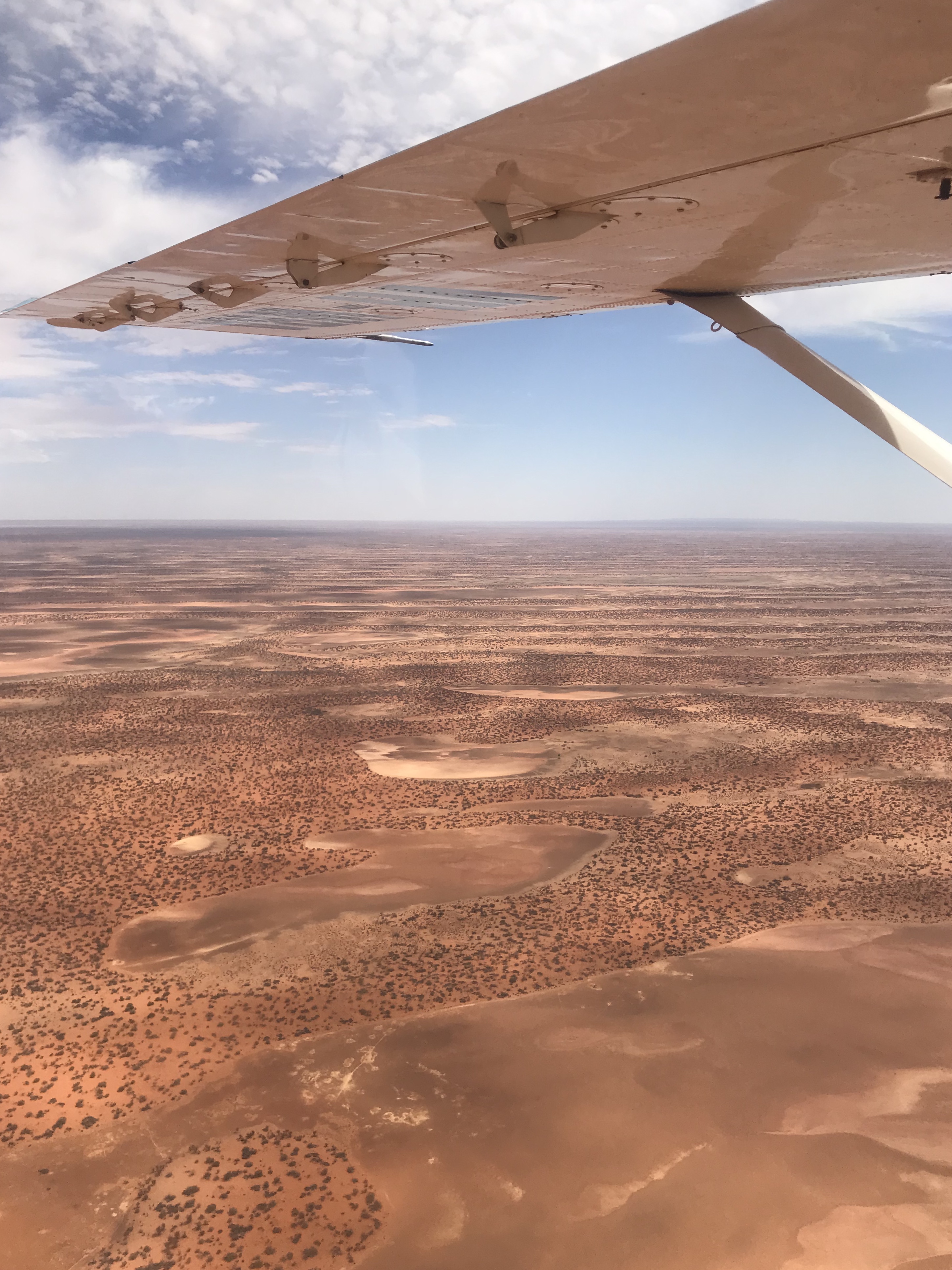 Simpson Desert environment.