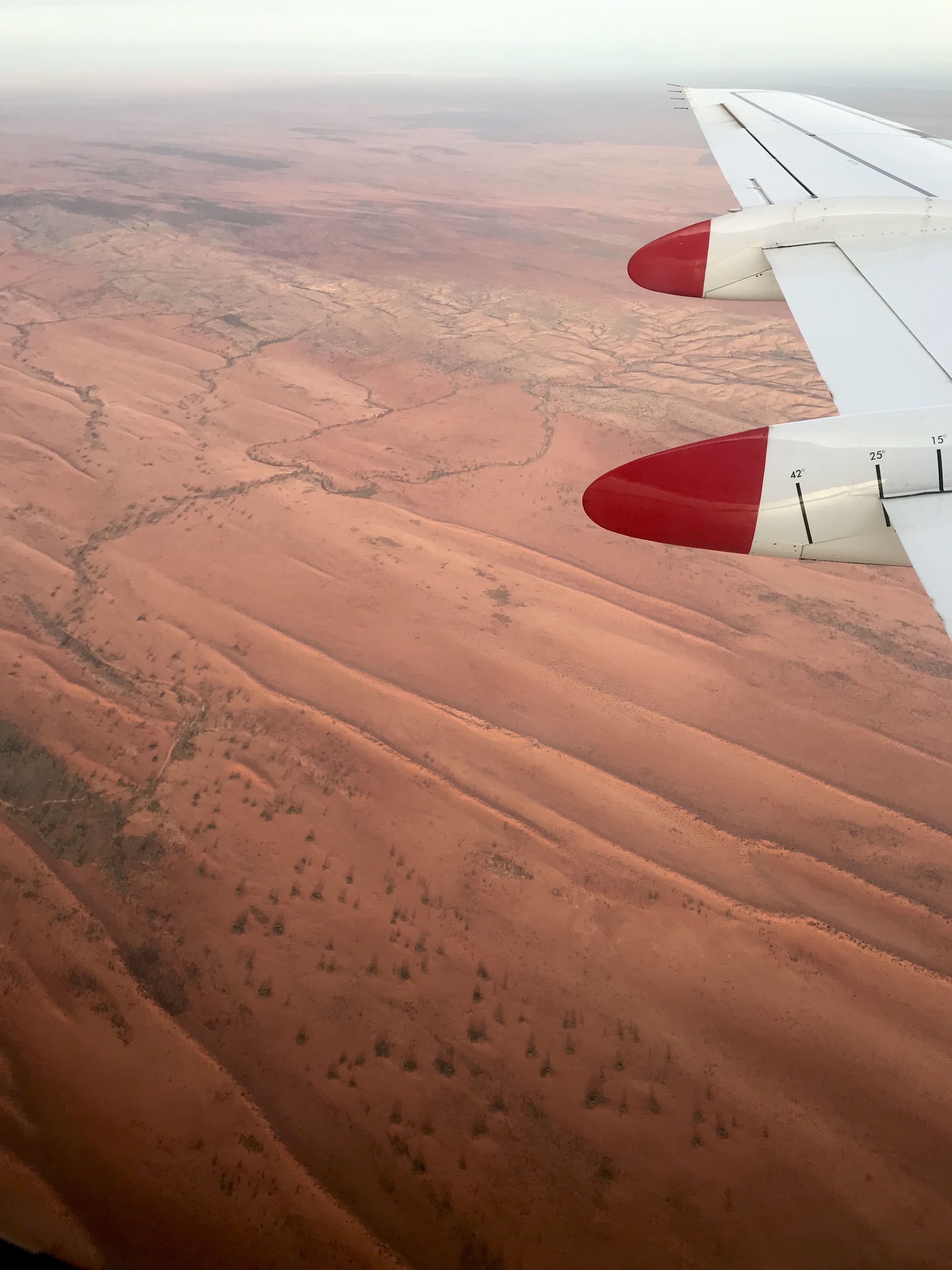 Simpson Desert environment.
