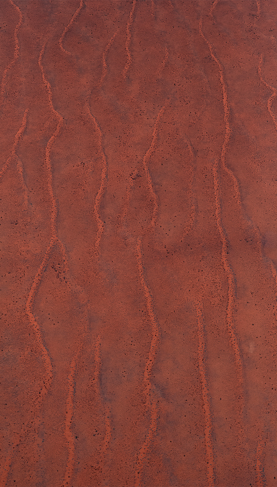 Simpson Desert aerial survey.