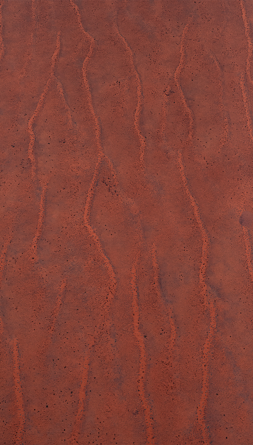 Simpson Desert aerial survey.