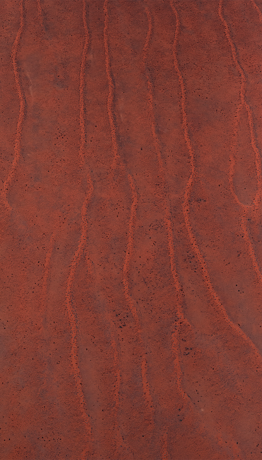 Simpson Desert aerial survey.