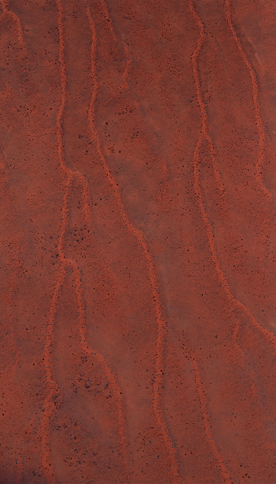 Simpson Desert aerial survey.