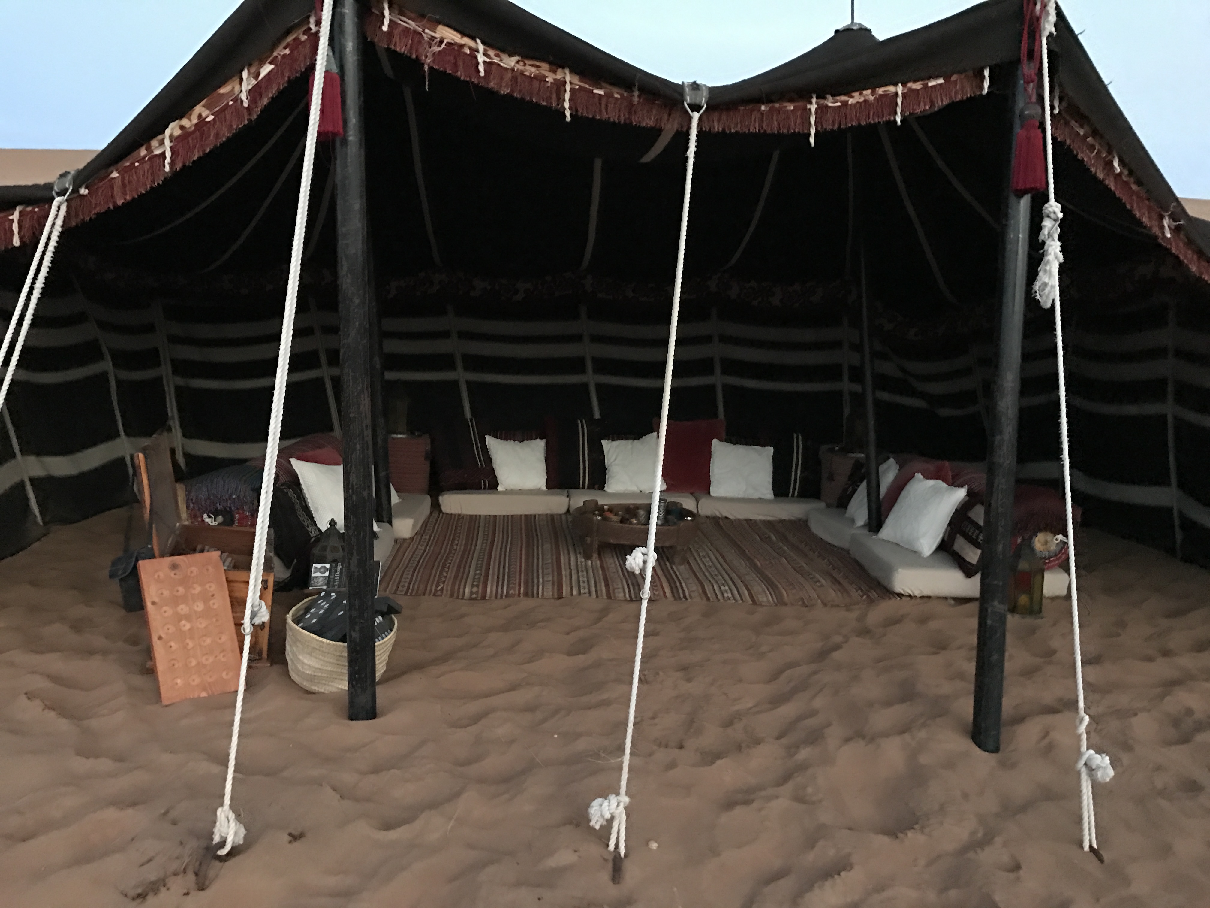 Wahiba Sands environment.