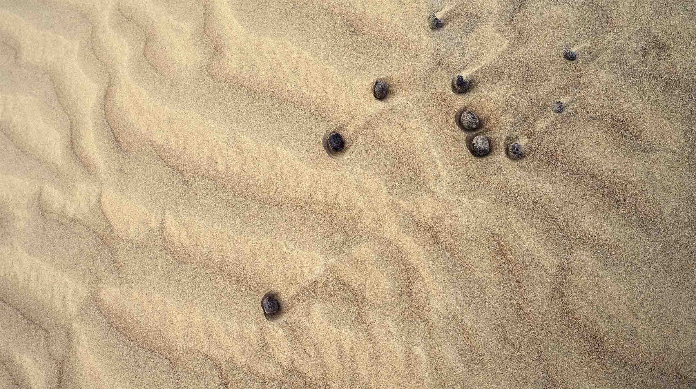 Wahiba Sands aerial survey.