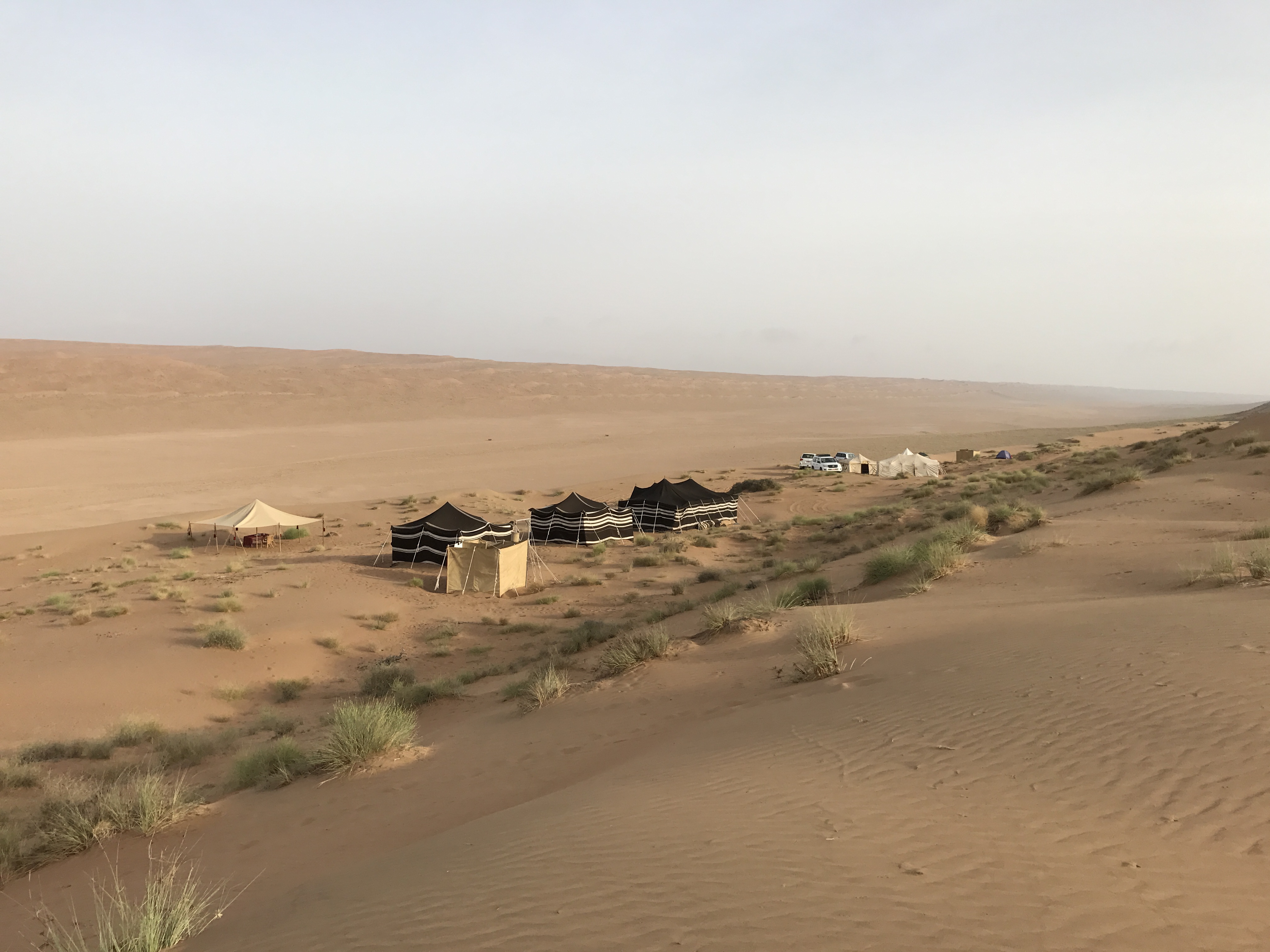Wahiba Sands environment.