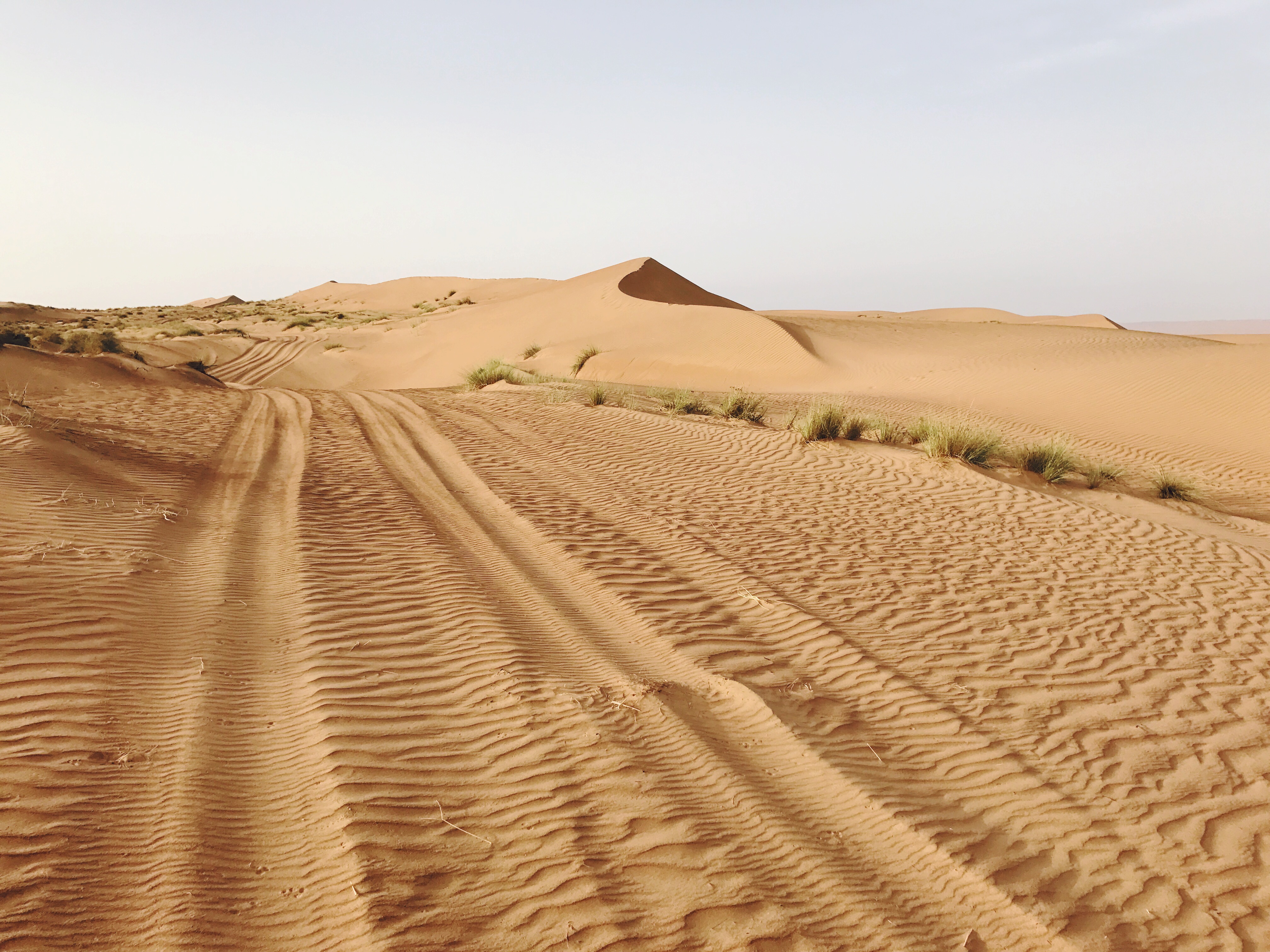 Wahiba Sands environment.