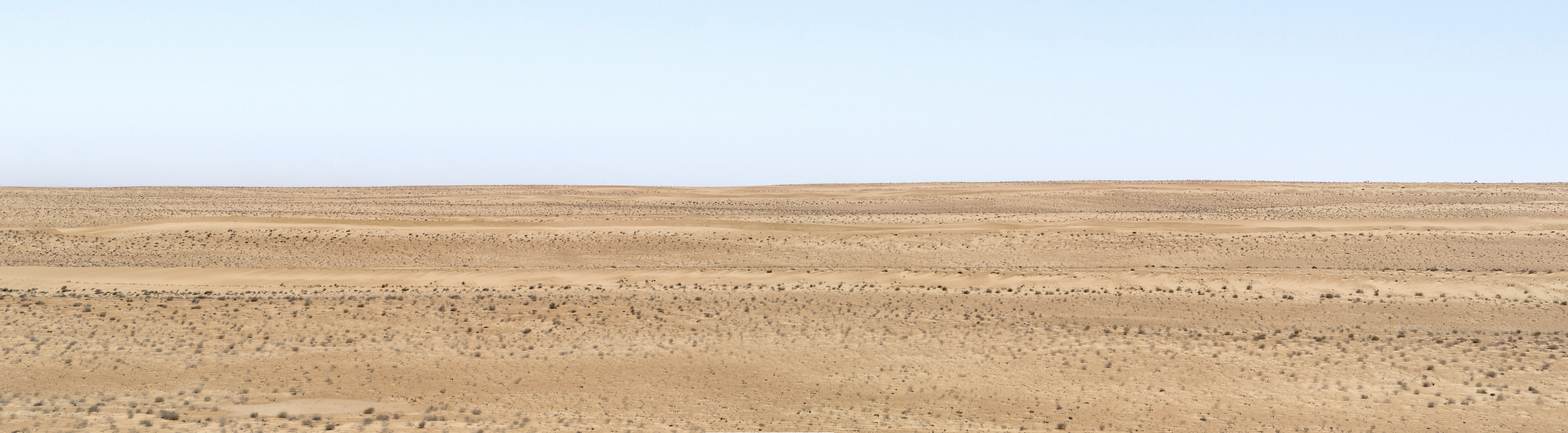 Wahiba Sands environment.