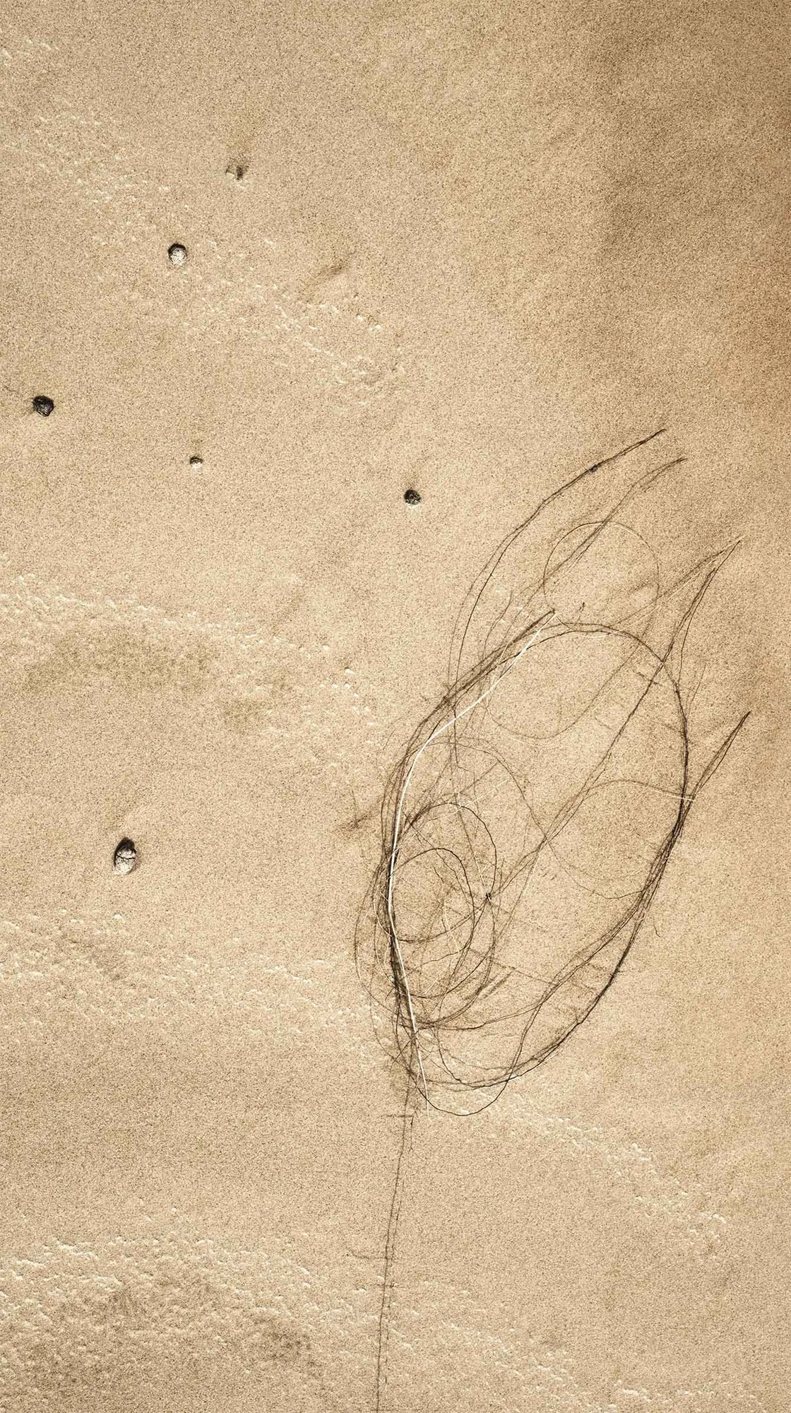 Wahiba Sands aerial survey.