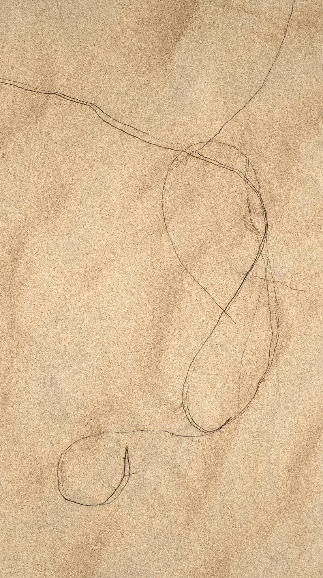Wahiba Sands aerial survey.