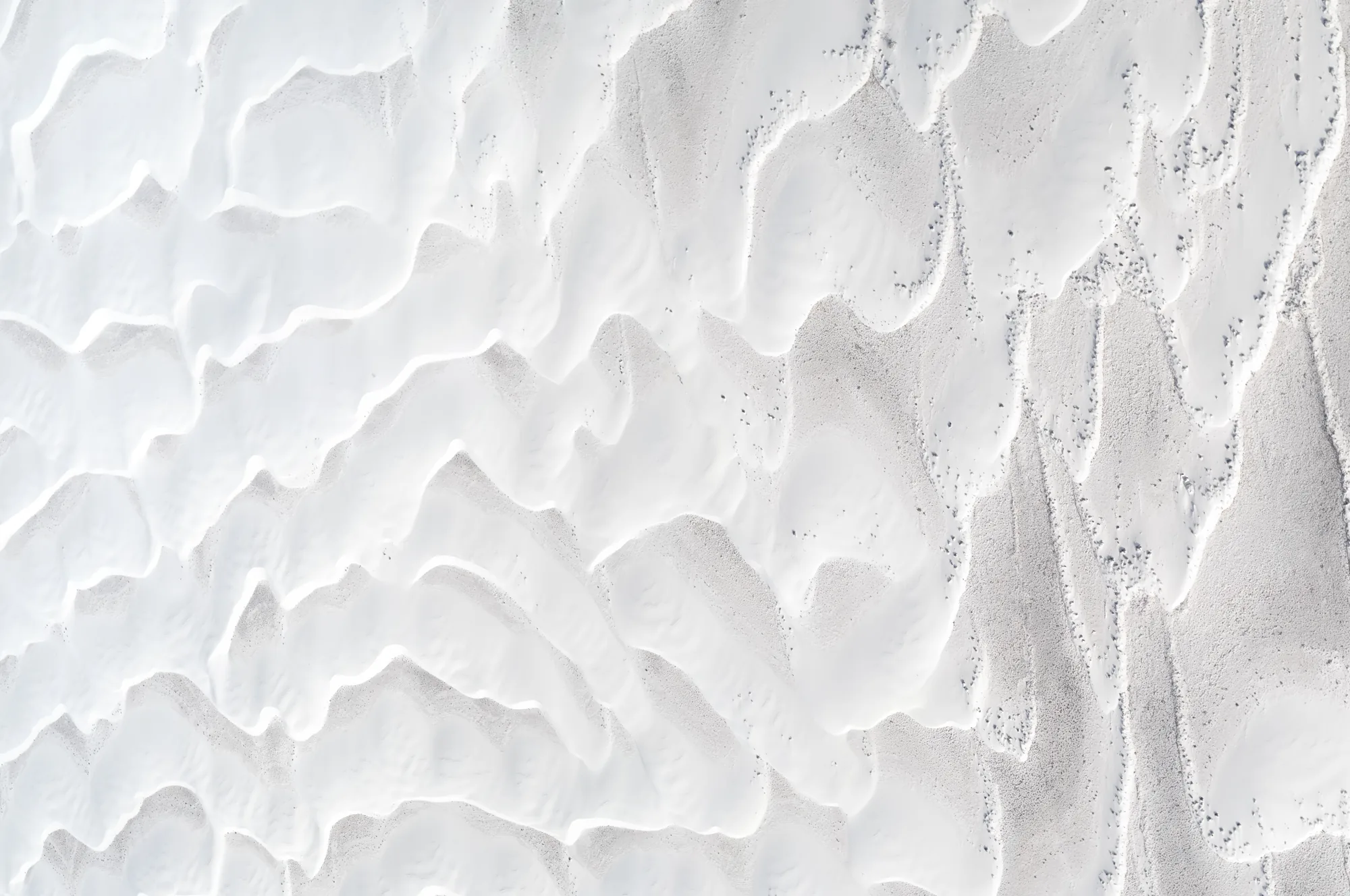 White Sands aerial survey.