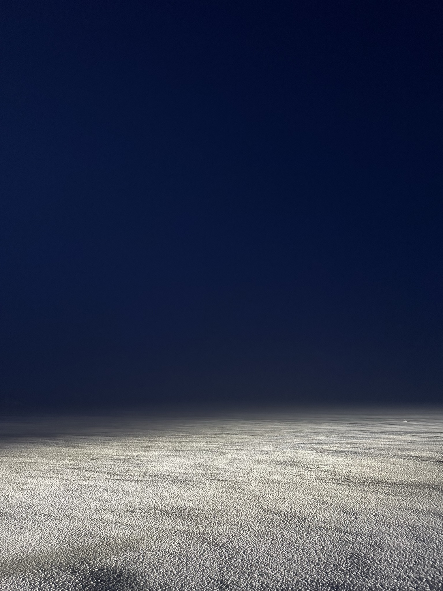 Winter Blue vertical study 5.