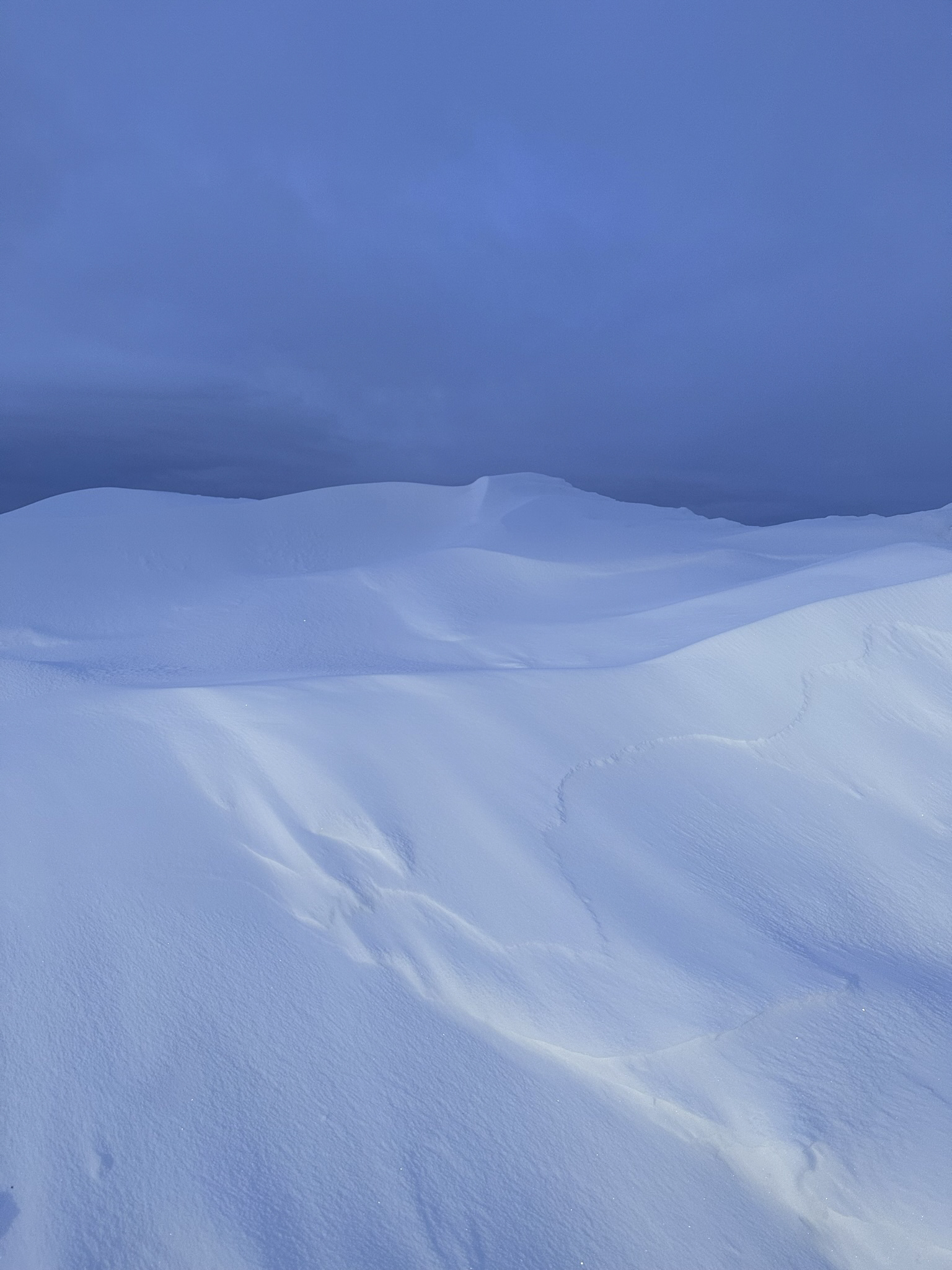 Winter Blue vertical study 2.