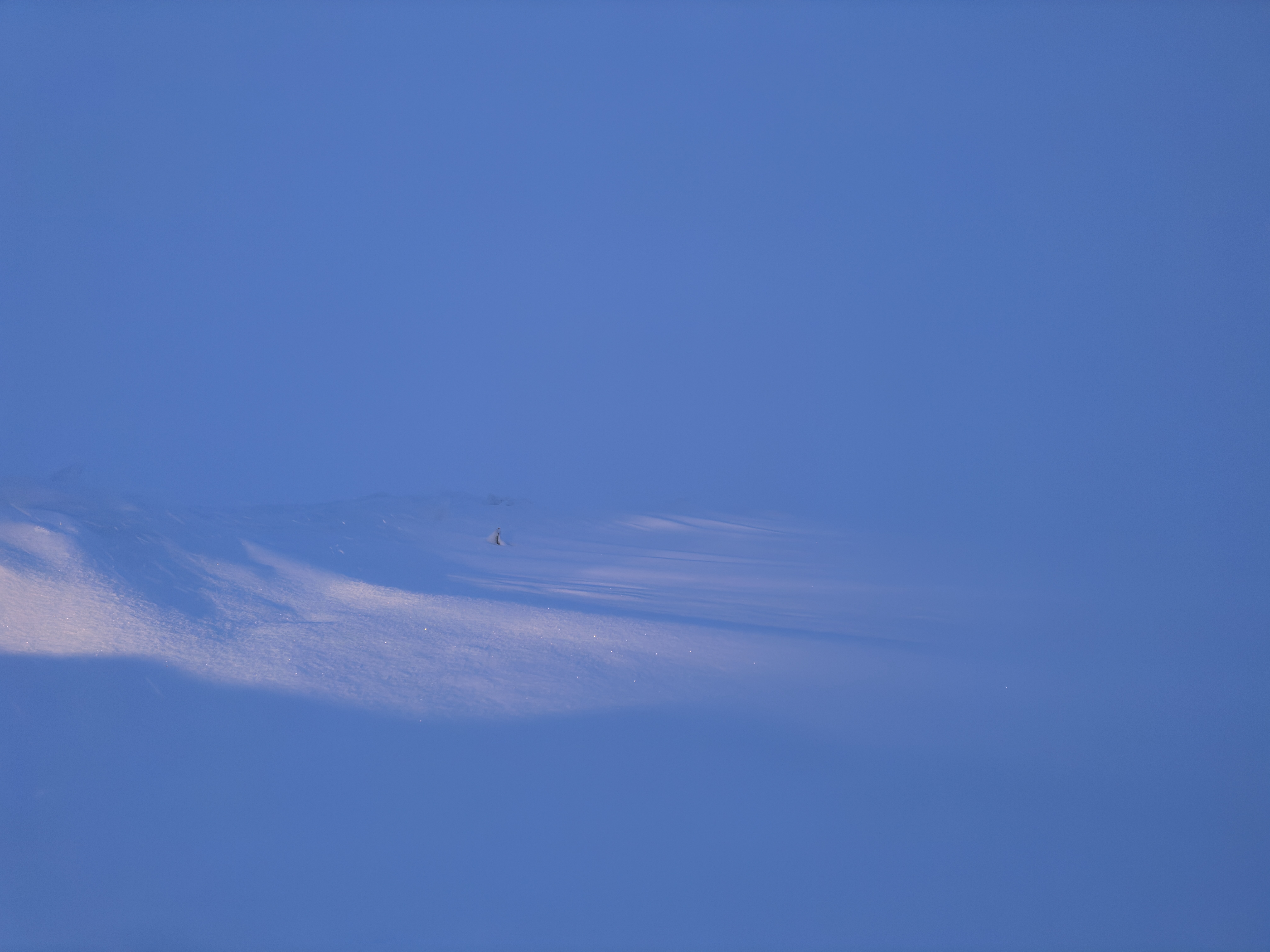 Winter Blue triptych photograph 3.