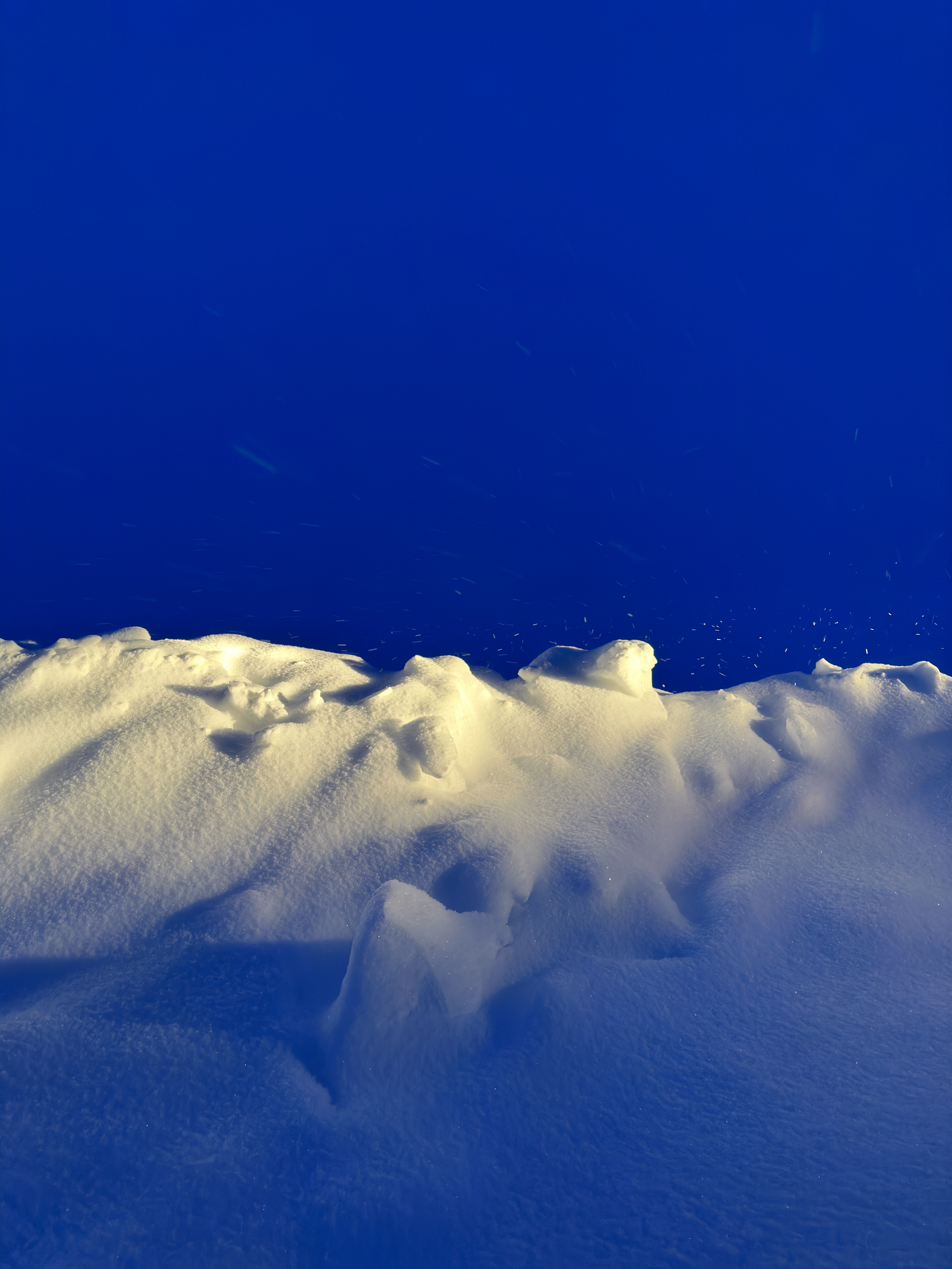 Winter Blue vertical study 2.