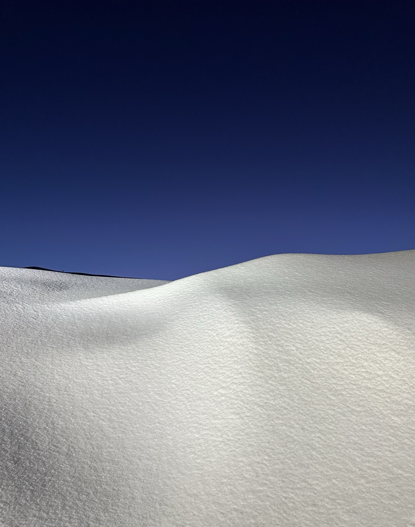 Winter Blue vertical study 6.
