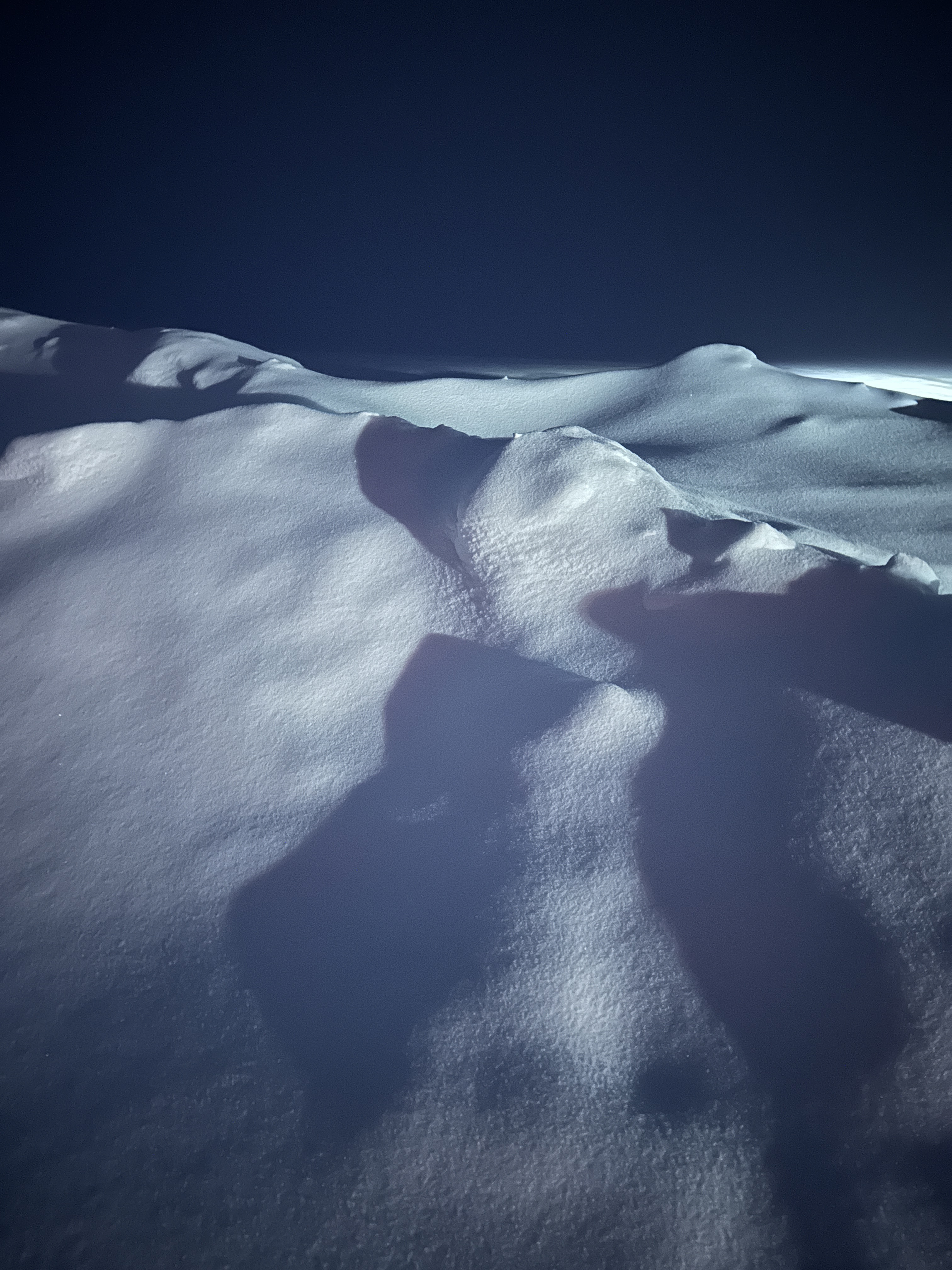 Winter Blue vertical study 4.
