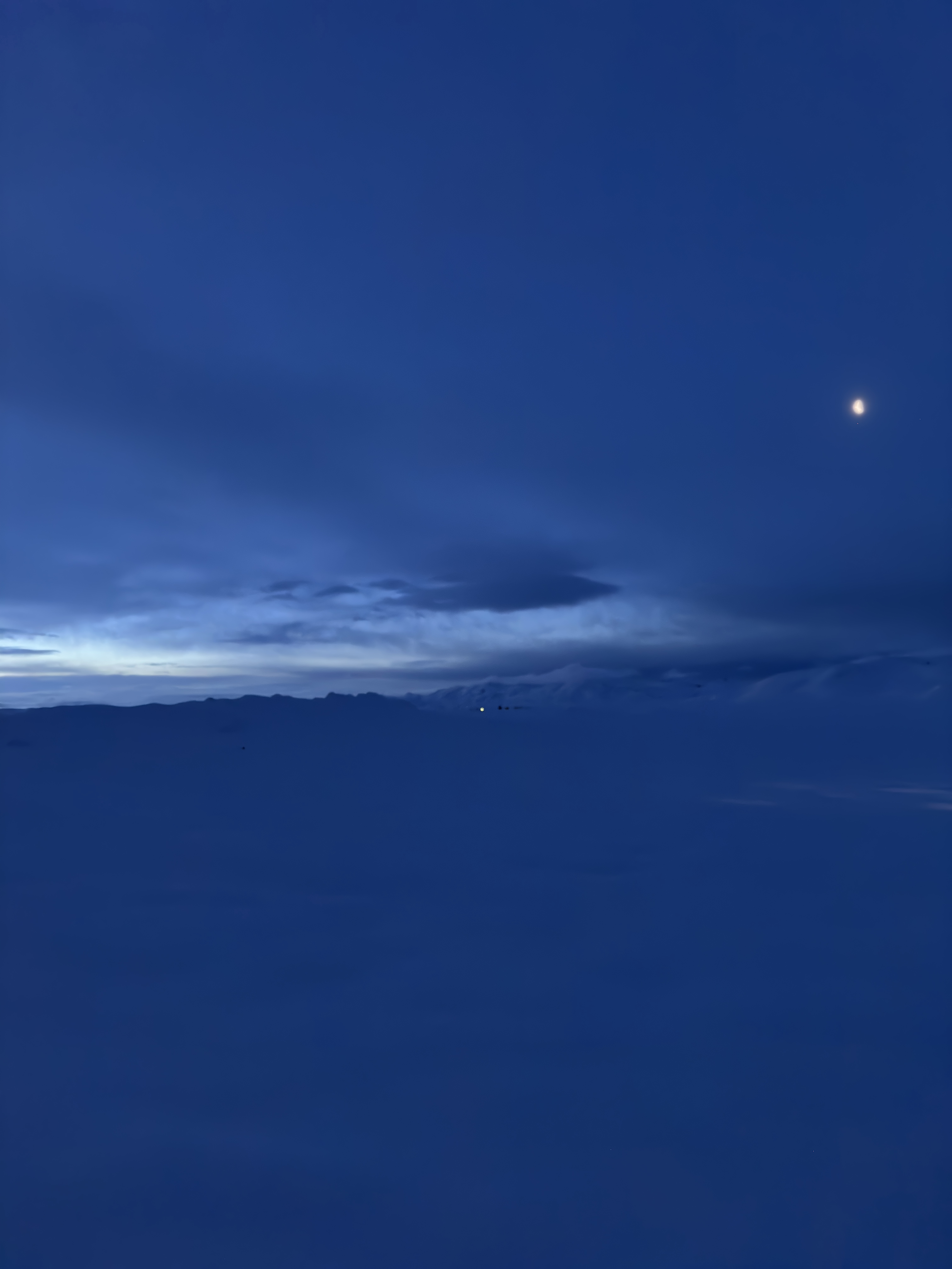 Winter Blue vertical study 8.