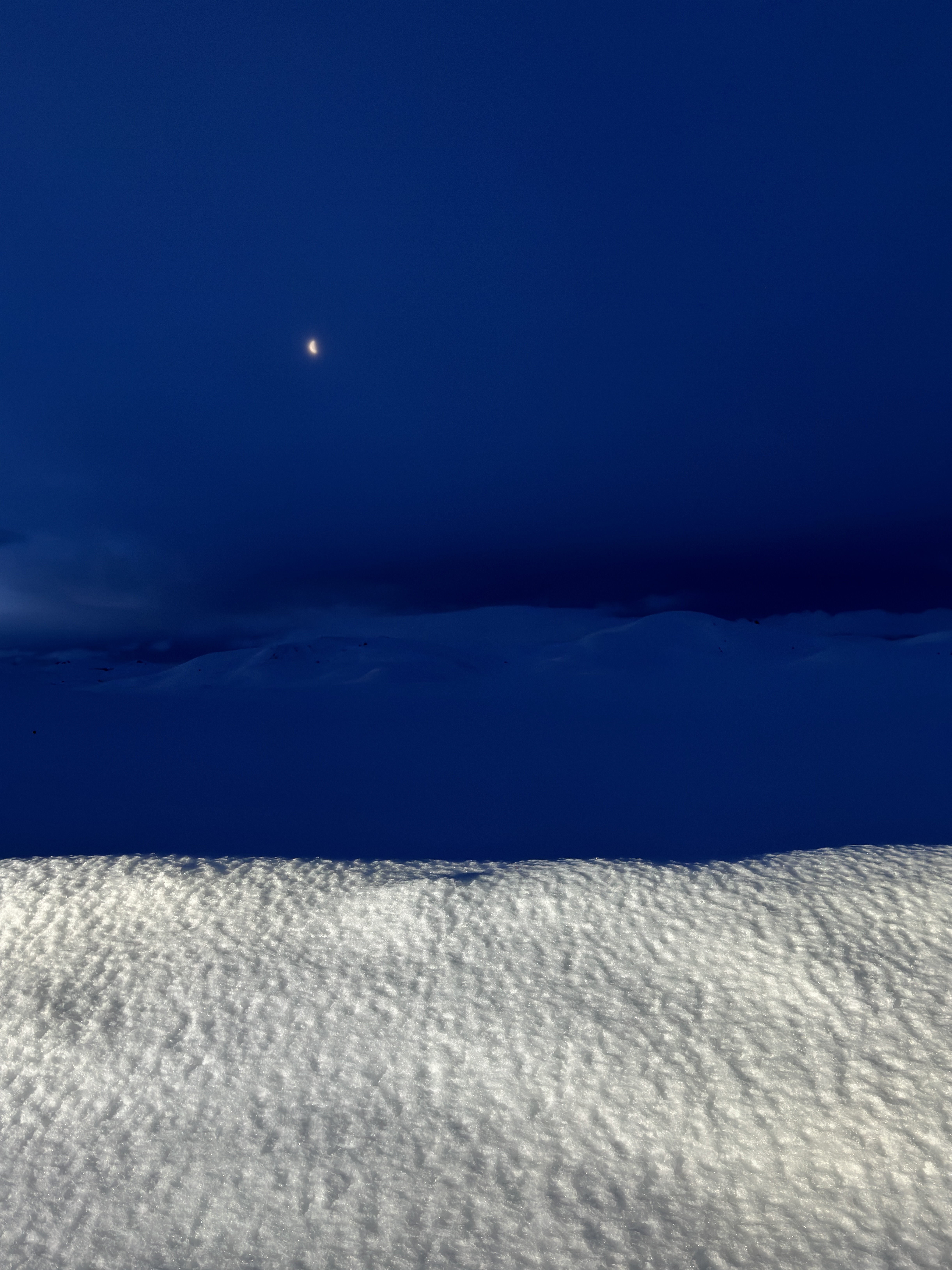 Winter Blue vertical study 4.
