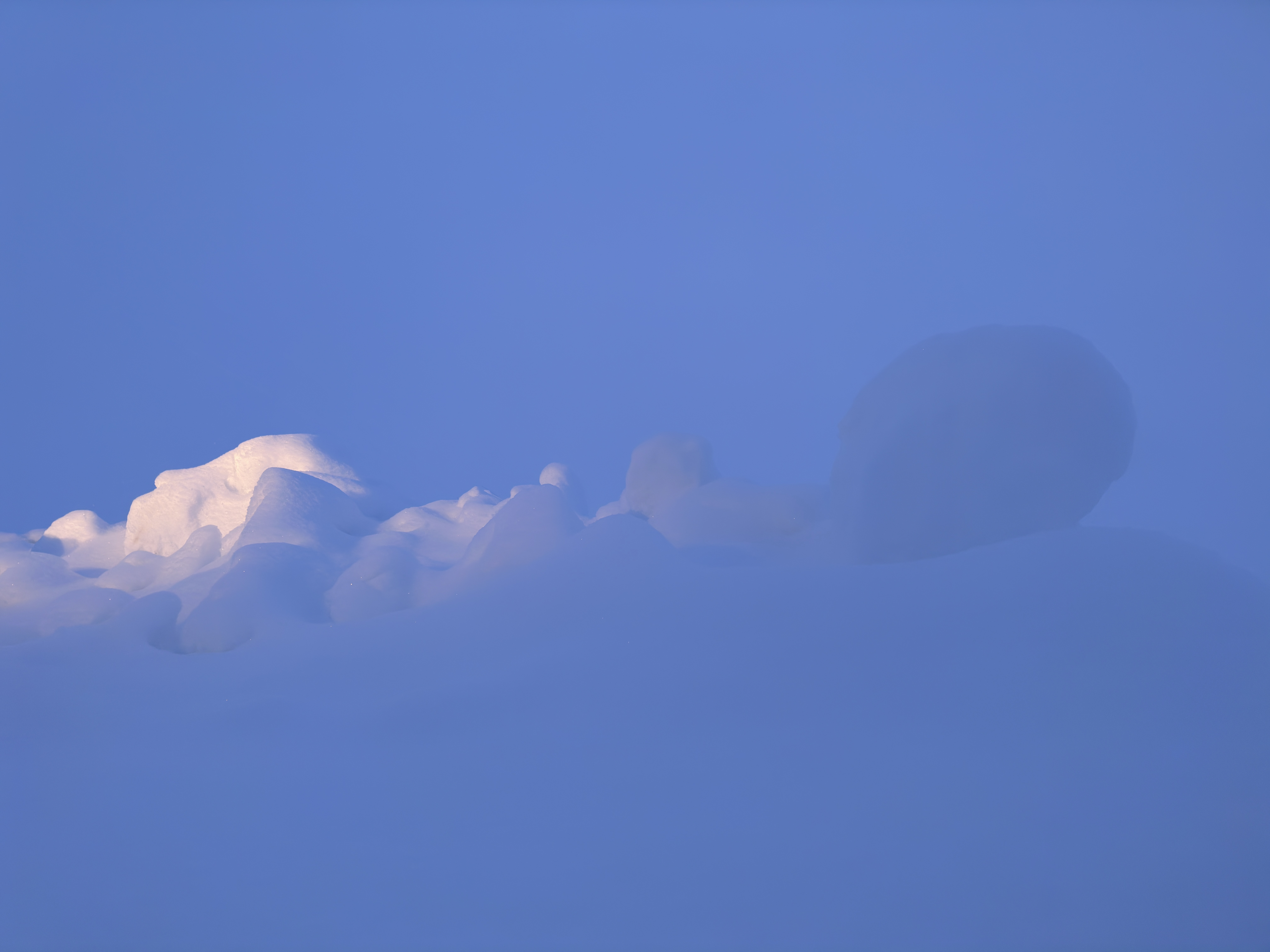Winter Blue vertical study 4.