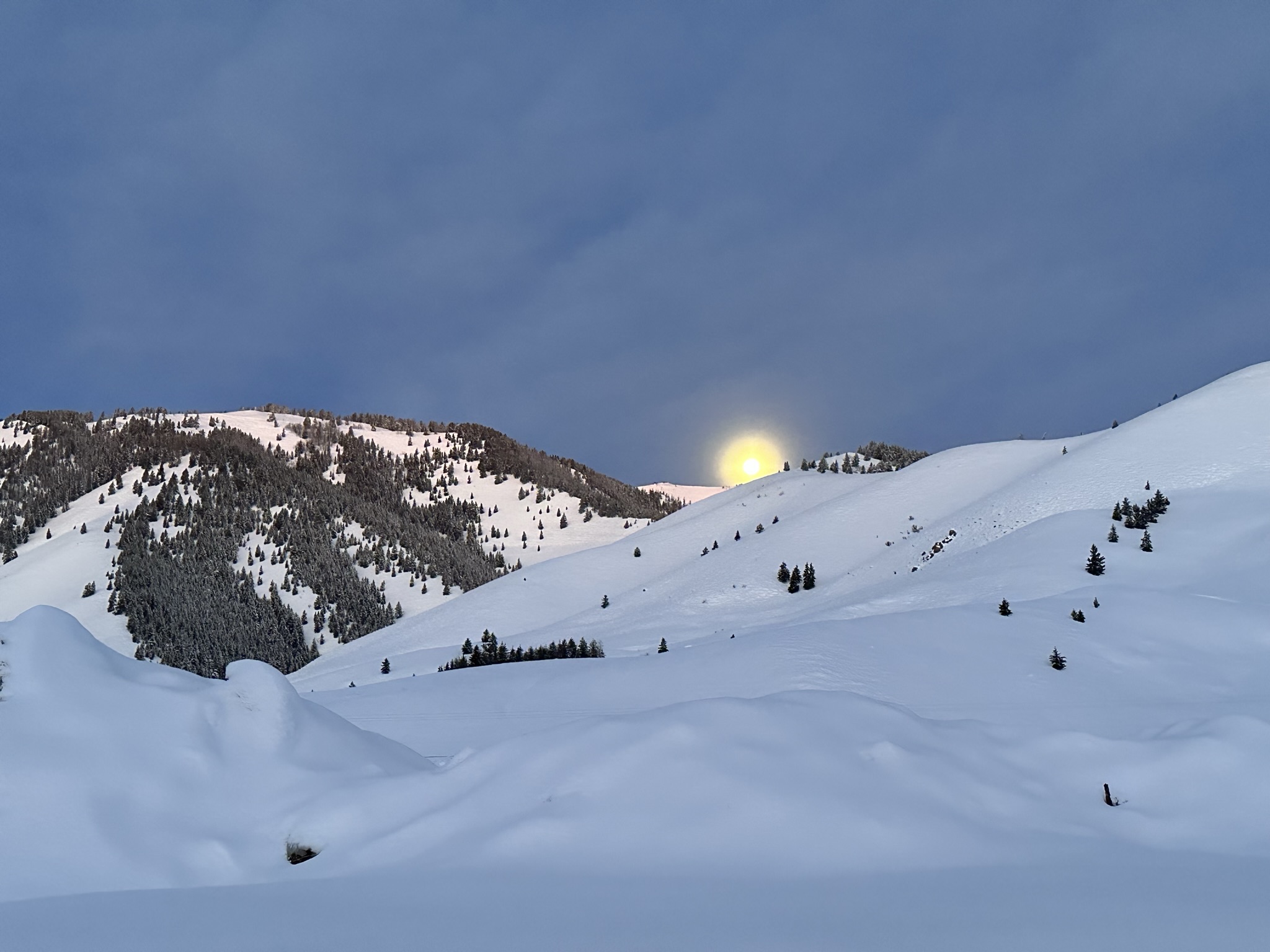 Winterblue search image.