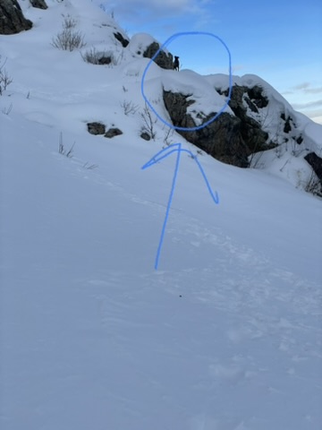 Winterblue search image.