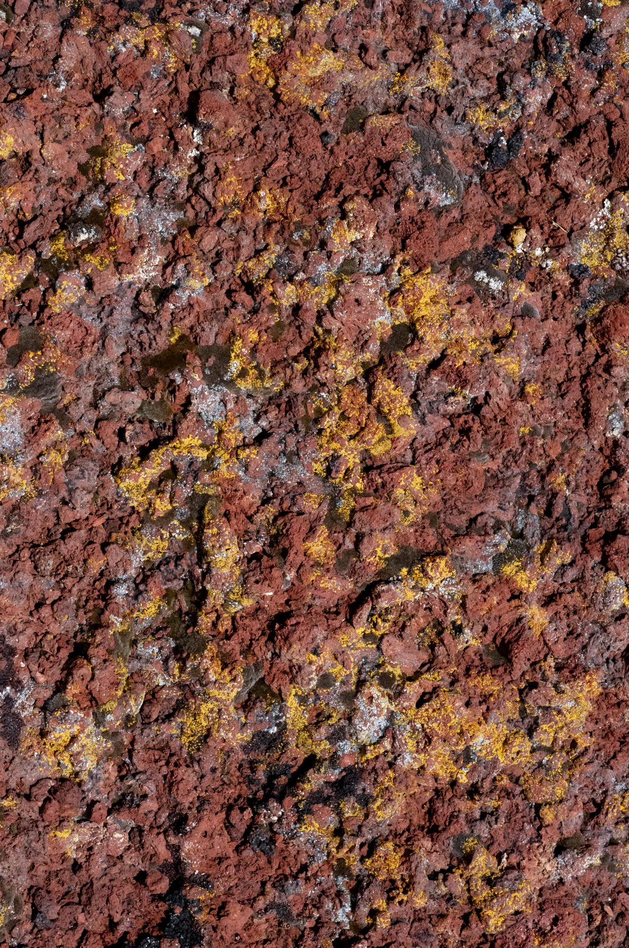 Edge crop: L1001603_MATCH_OPTION_2_EW_1.jpg