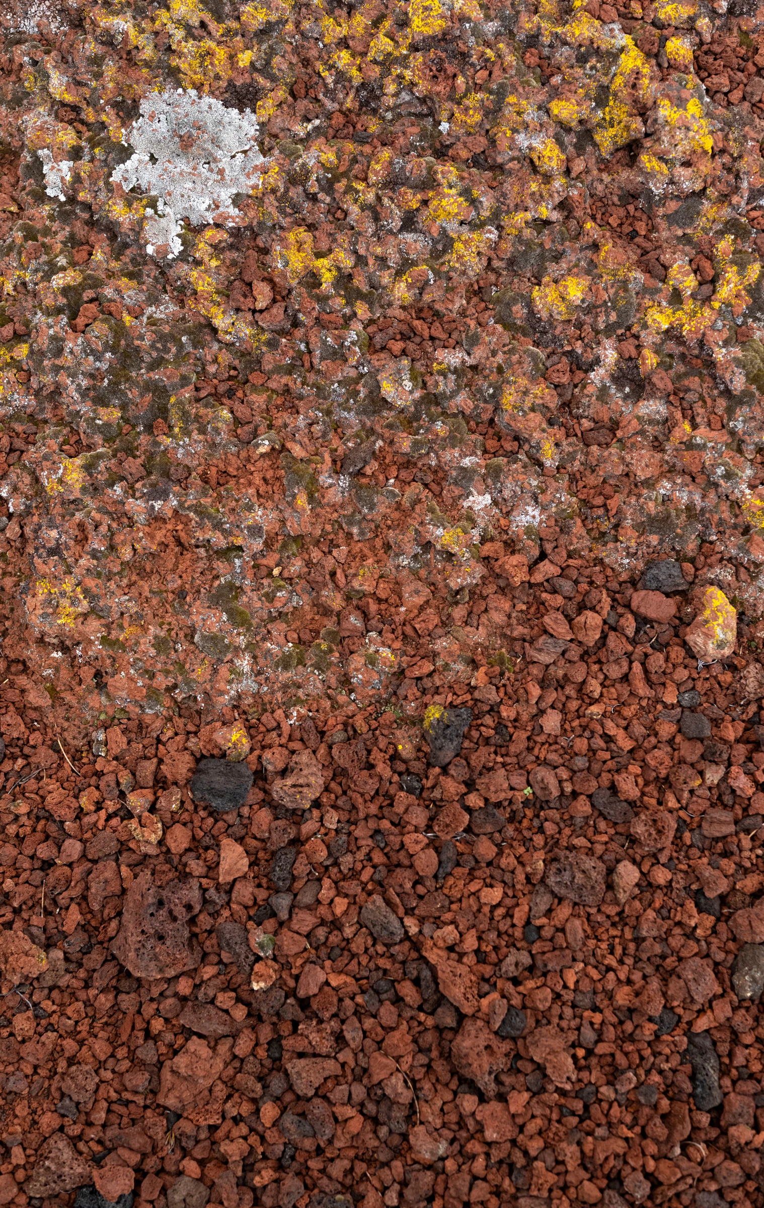 Main image: L1008341.jpg