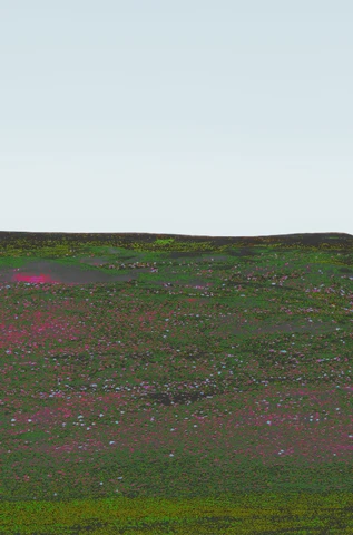 Pink and green Omani panorama, plate 1.