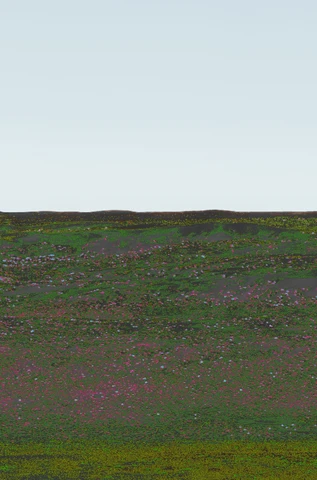 Pink and green Omani panorama, plate 2.