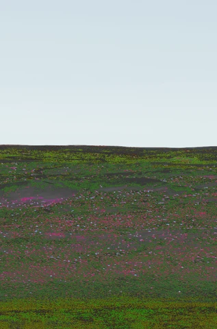 Pink and green Omani panorama, plate 3.