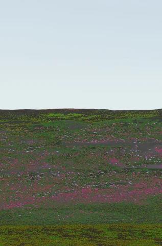Pink and green Omani panorama, plate 4.