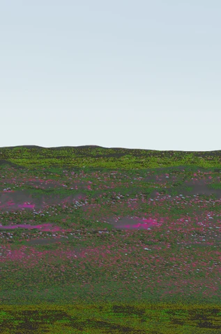 Pink and green Omani panorama, plate 5.