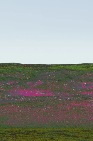 Pink and green Omani panorama, plate 6.