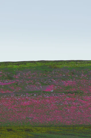 Pink and green Omani panorama, plate 7.