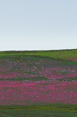 Pink and green Omani panorama, plate 8.
