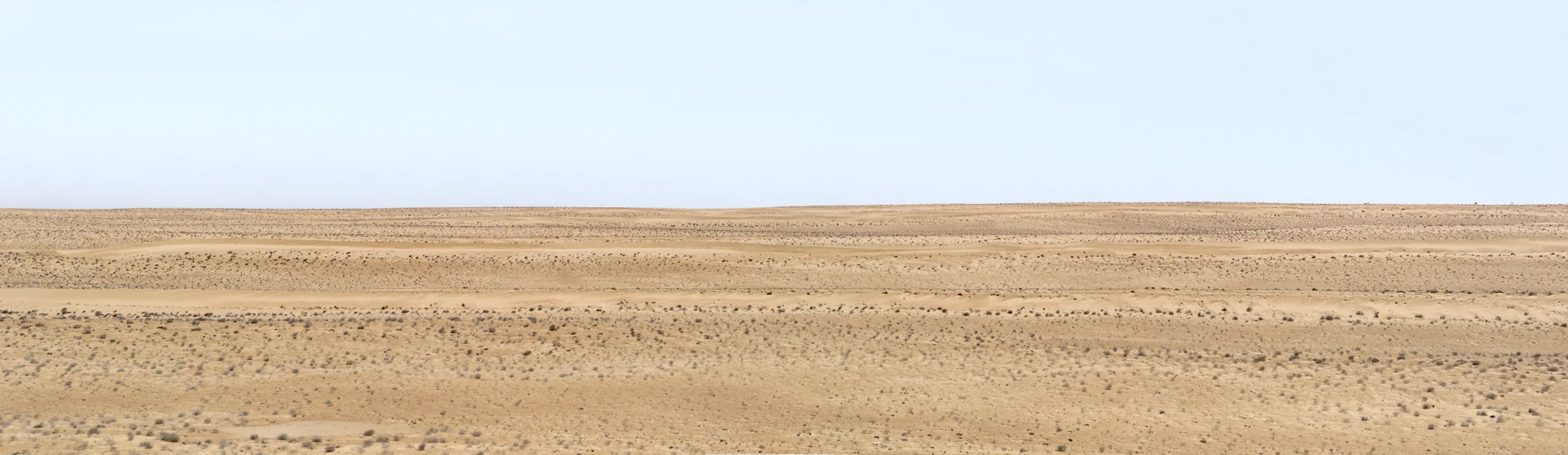 Hero image: PLAIN DUNE.webp